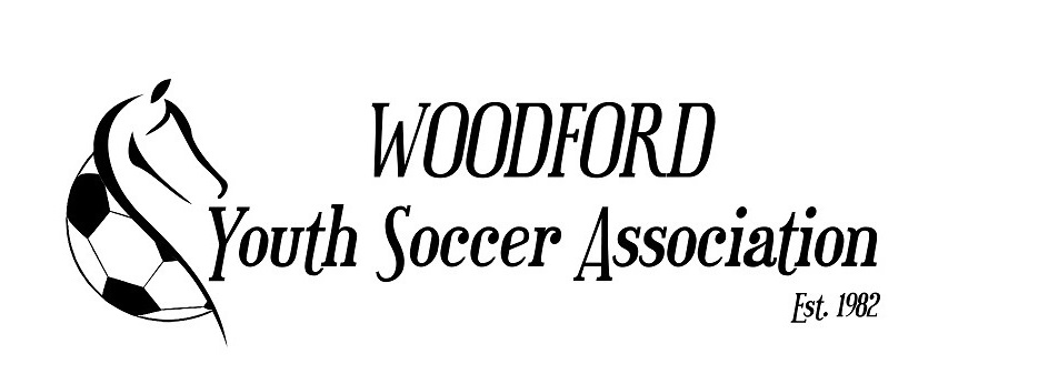 WYSA logo